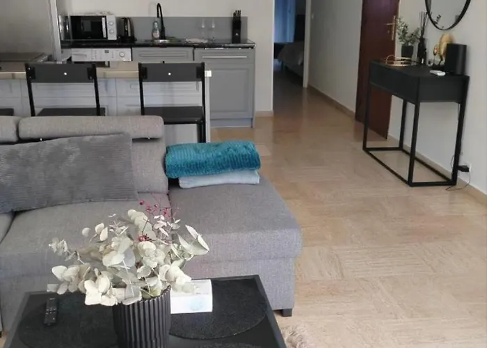 Парк Круазет , Апартаменты 3 Комнаты , С Террасой И Паркингом ,